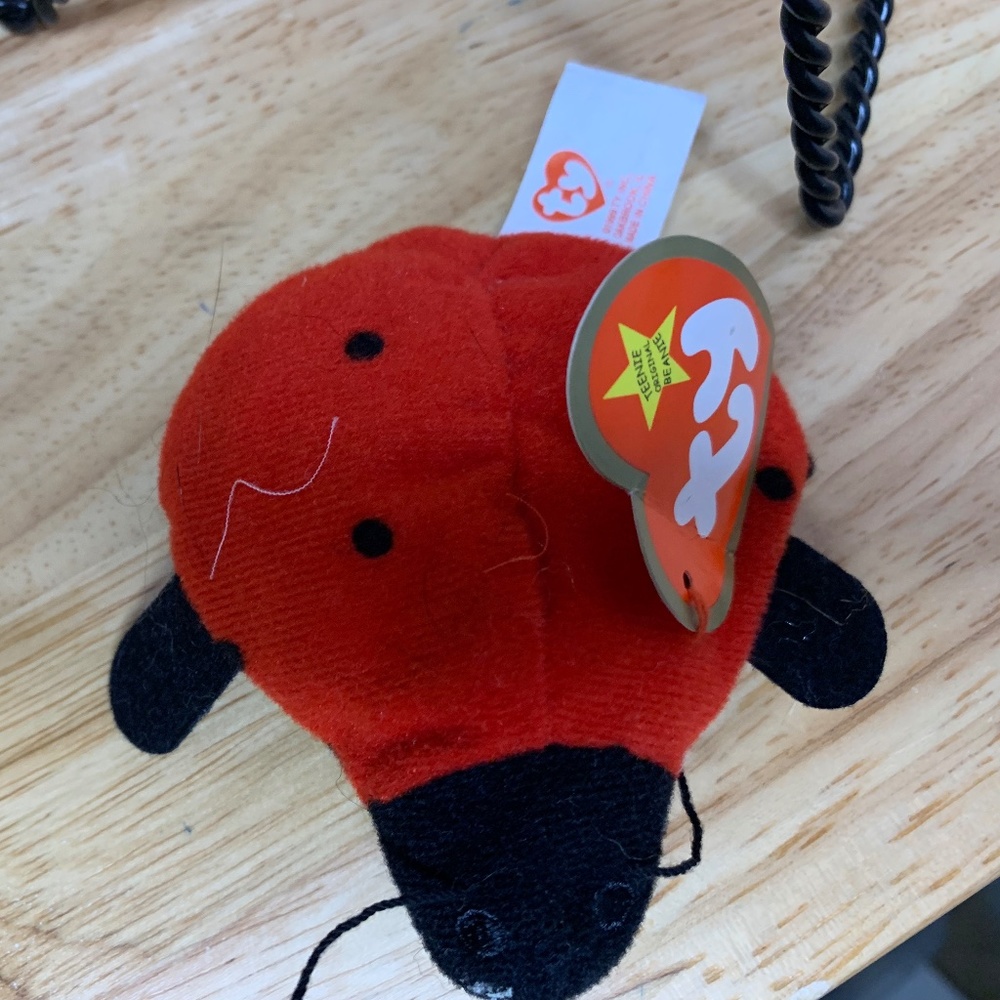 Teenie beanie baby lucky the ladybug